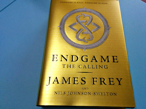 Endgame by Google’s Niantic Labs Endgame by Google’s Niantic Labs