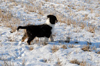 _DSC0025.JPG
