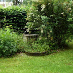 singold-bote_110608154846.jpg