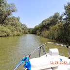 DSCN0200.JPG