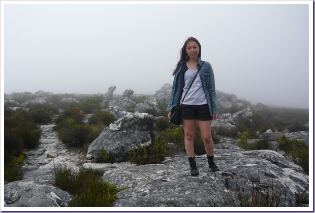 Table-Mountain-Cape-Town-África-do-Sul-Topo