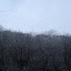 IMG_1991.JPG