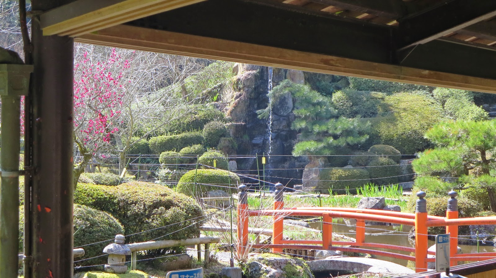 [IMG_2328%255B3%255D.jpg]