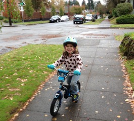 2012-10-28 Bike 003