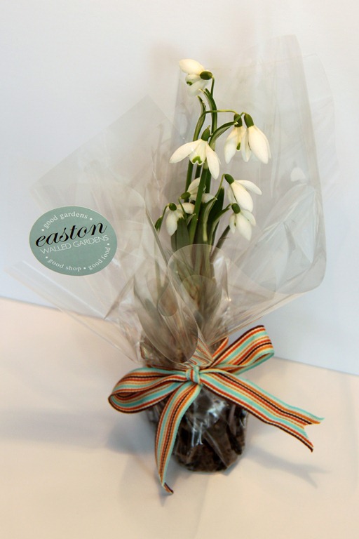 [shopateaston-images-Jan2012-133.jpg]