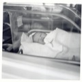 babydavid1-2012-08-23-08-00.jpg