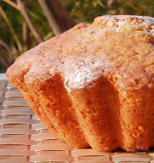 cake_09 cake_09