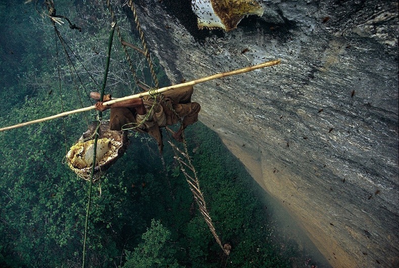 honey-hunters-nepal-7