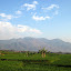 Rice fields looking towards Guntur