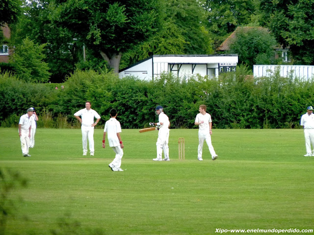 partido-de-cricket-harlow.JPG