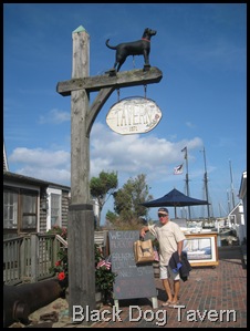 IMG_6546 IMG_6546