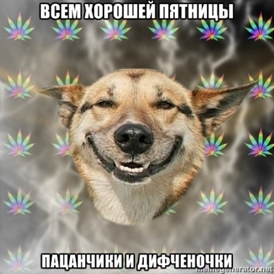 13177690.jpg