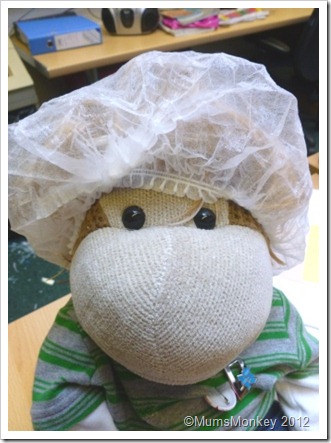 Health and Safety Hair net Health and Safety Hair net