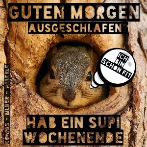 Download Guten morgen ausgeschlafen sprueche Free