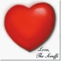 Cover Cover