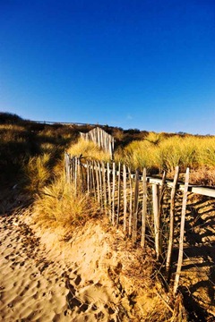 Sand-Dune-Fencing-2