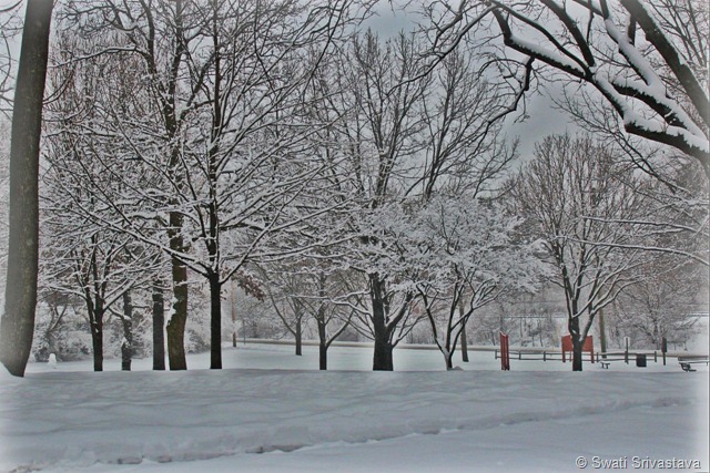 Snow5.jpg Snow5.jpg