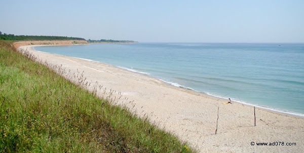 104.jpg