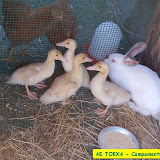camp2007-032.jpg