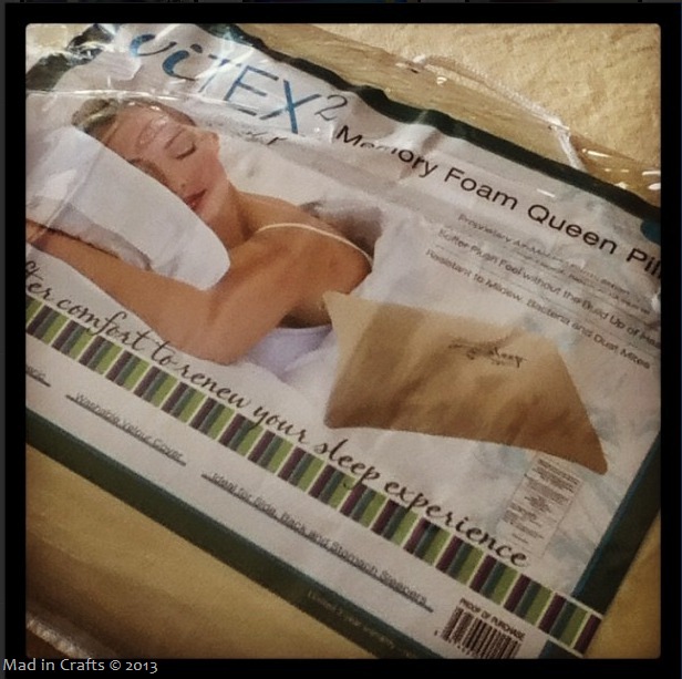 [pillow4.jpg]