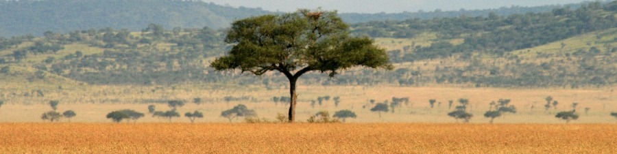 [TanzaniaHeadernoText%255B3%255D.jpg]