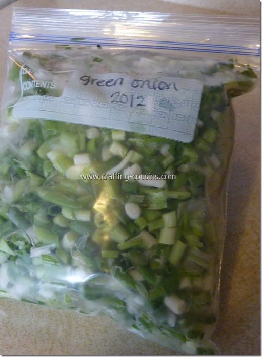 How to prepare green onions for the freezer.  Tips from the Crafty Cousins (17)