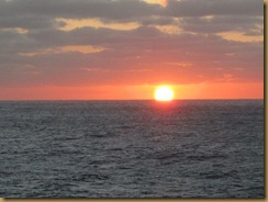 IMG_0221 IMG_0221