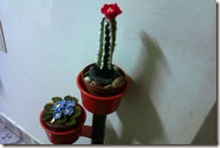 Crochet flower pots 1