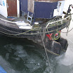 IMG_3589.JPG