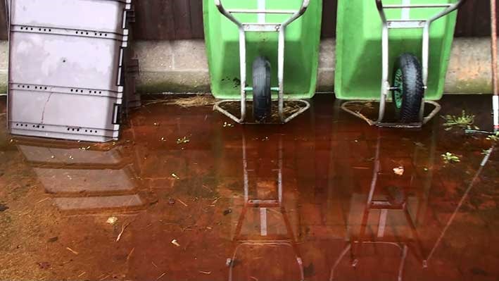 [29.1.2013-7%255B3%255D.jpg]