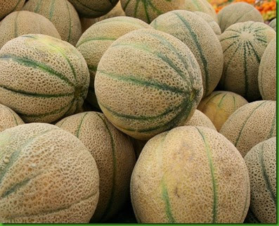 Iroquois Melon Iroquois Melon