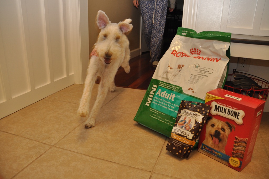 [515%255B4%255D.jpg]