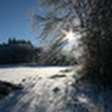 No&euml;l 2010