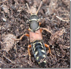 IMG_6267 IMG_6267