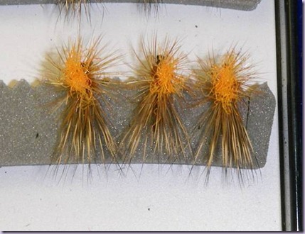 clip_image012 clip_image012