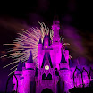 0912_Disney_MK_155.jpg
