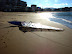 DSC00669.JPG