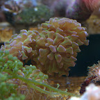 DSC_2103.jpg