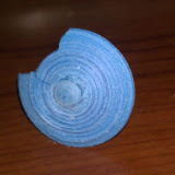 IMAG0001.jpg