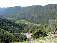 IMG_0341.JPG Photo
