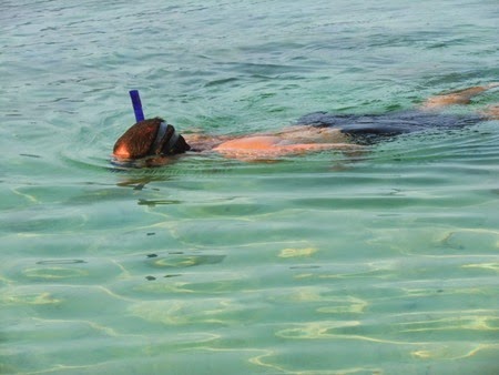 Koh Wai Koh Wai