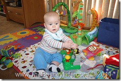 IMG_0172 IMG_0172