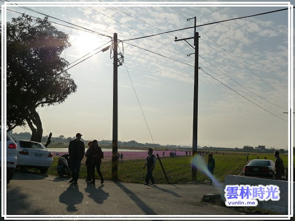 2012莿桐孩沙里的花海開了-花舞雲林、亮點莿桐