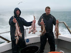 Image71.jpg