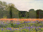 Marci Kawalek "Paintbrush Divide" Photograph