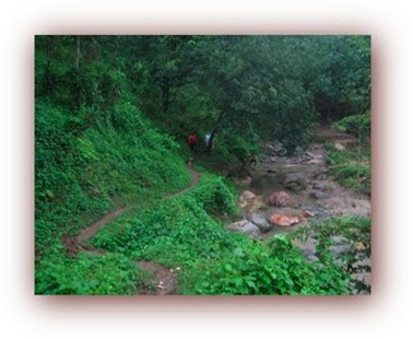 IMG_1033 IMG_1033