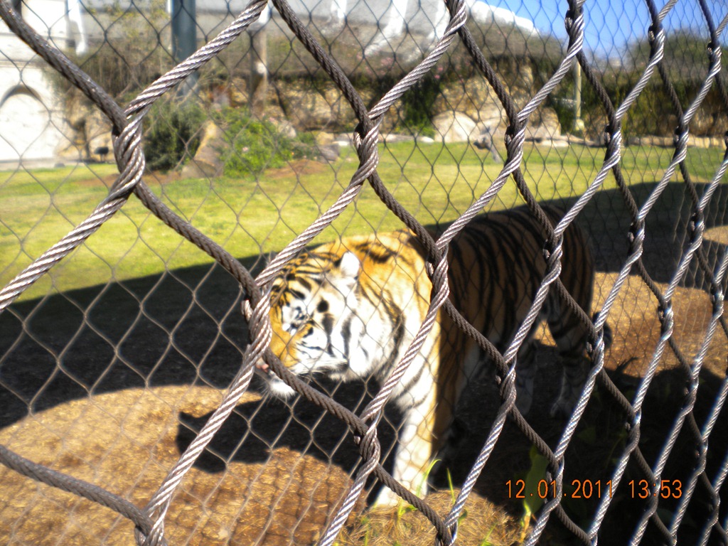 [lsu%2520001%255B3%255D.jpg]