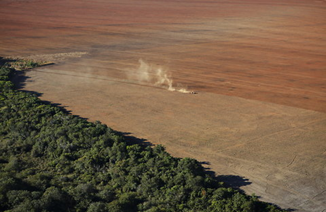 A field once covered by the forest is readied for soybean cultivation in Brazil. green.blogs.nytimes.com