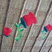 1CorridaMTBVarzeadoBuriti2011-018.jpg