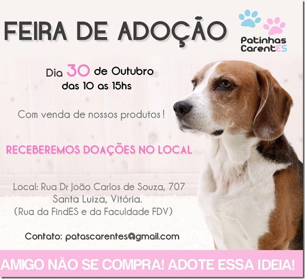 feirinha de adoção